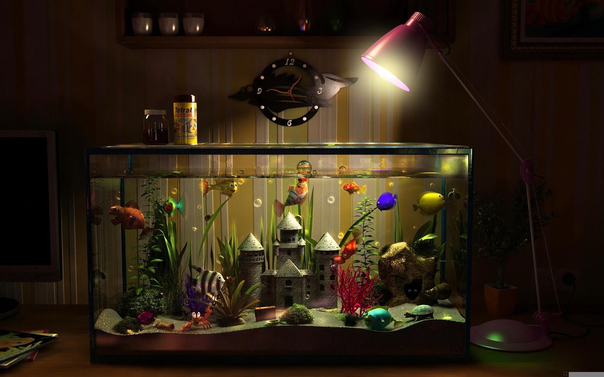 The Best Aquarium Fish for a Beginner in 2022