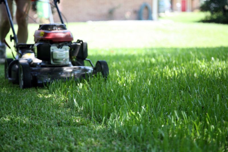 Ranking of the best electric and petrol lawn mowers in 2019