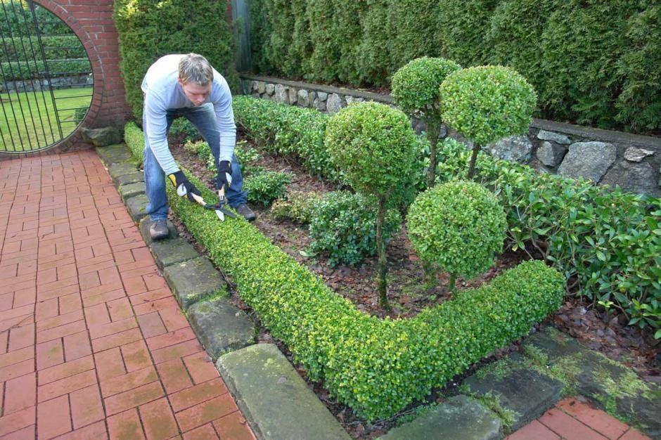 Ranking of the best hedge trimmers in 2022