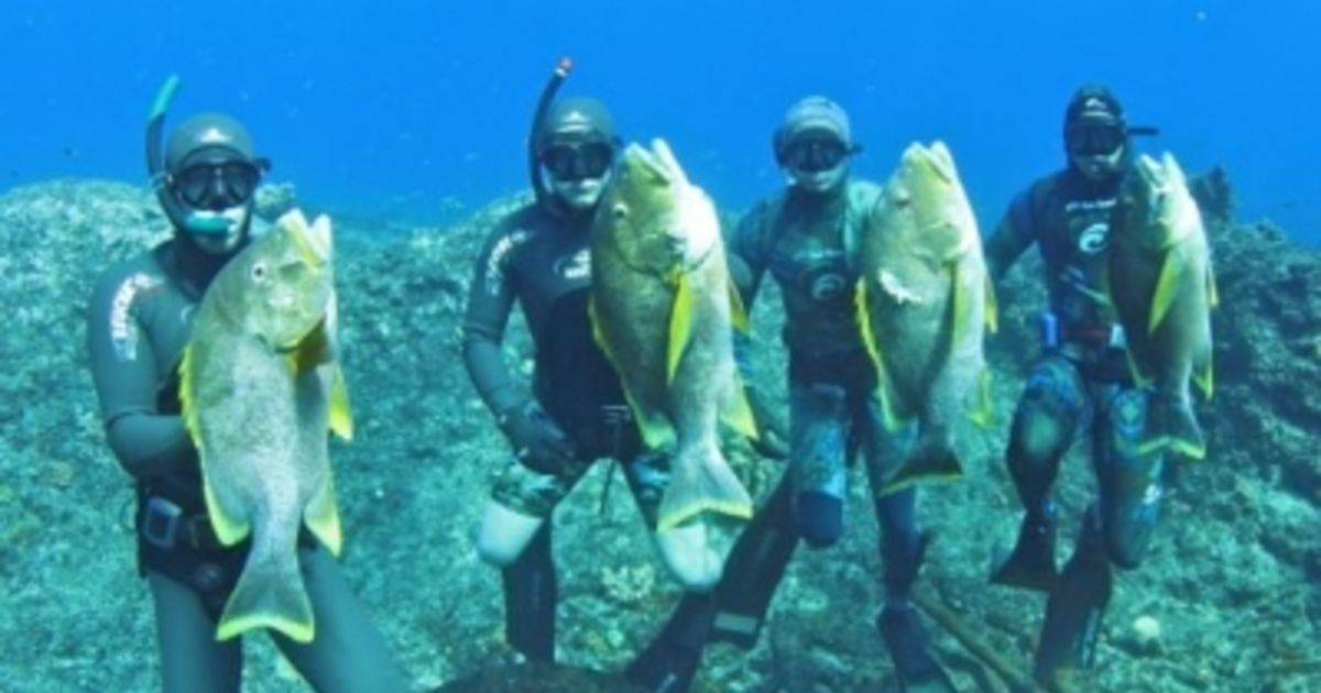 Rating of the best spearguns for spearfishing in 2022