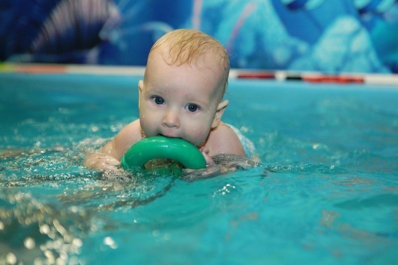 Rating of the best children's pools in Novosibirsk in 2022