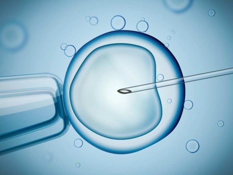2022 年下諾夫哥羅德最佳 IVF 診所的評級