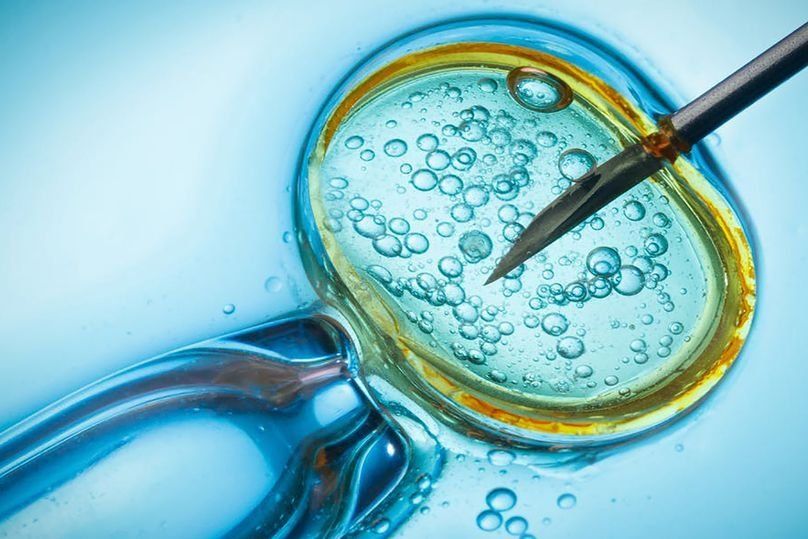 The best IVF clinics in Perm in 2022