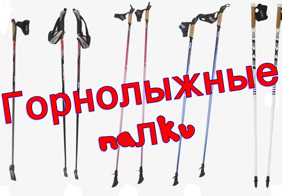 The best ski poles in 2022 and how to choose them