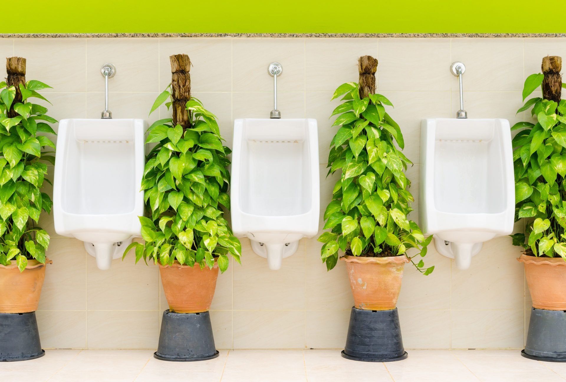 Ranking the best urinals 2022: how to choose