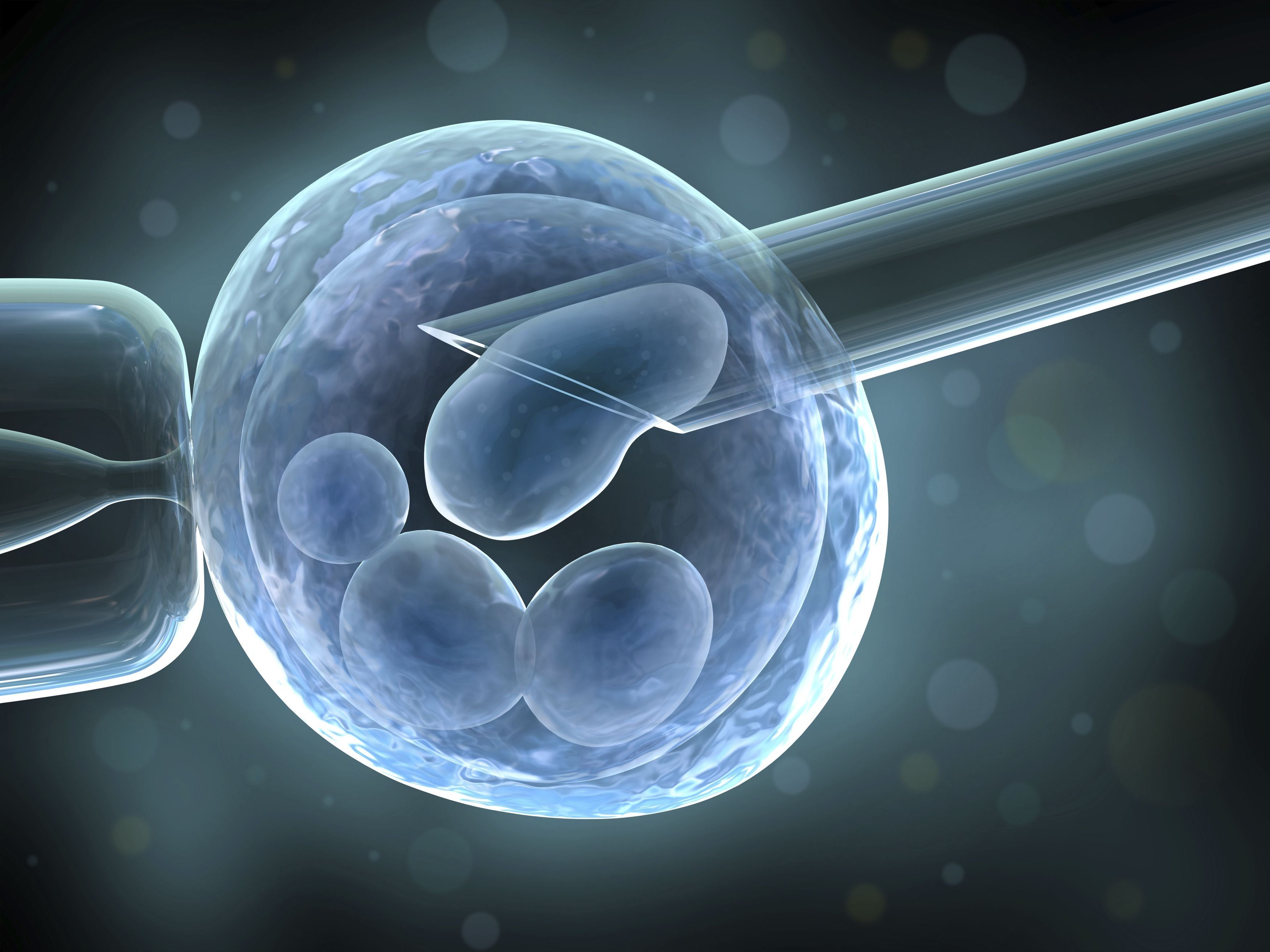 Rating of the best IVF clinics in Novosibirsk in 2022 with positive reviews and results