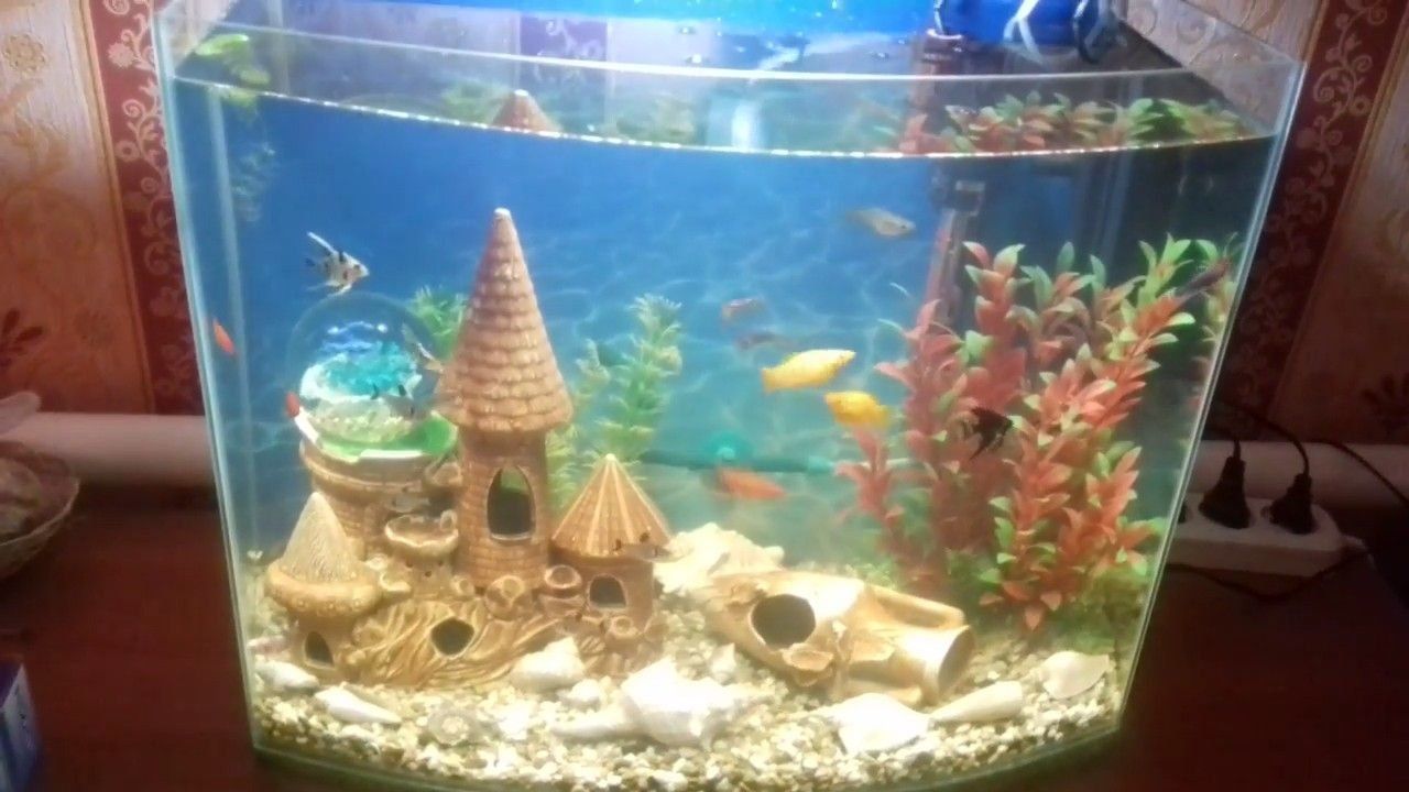 Meilleurs filtres d'aquarium en 2022