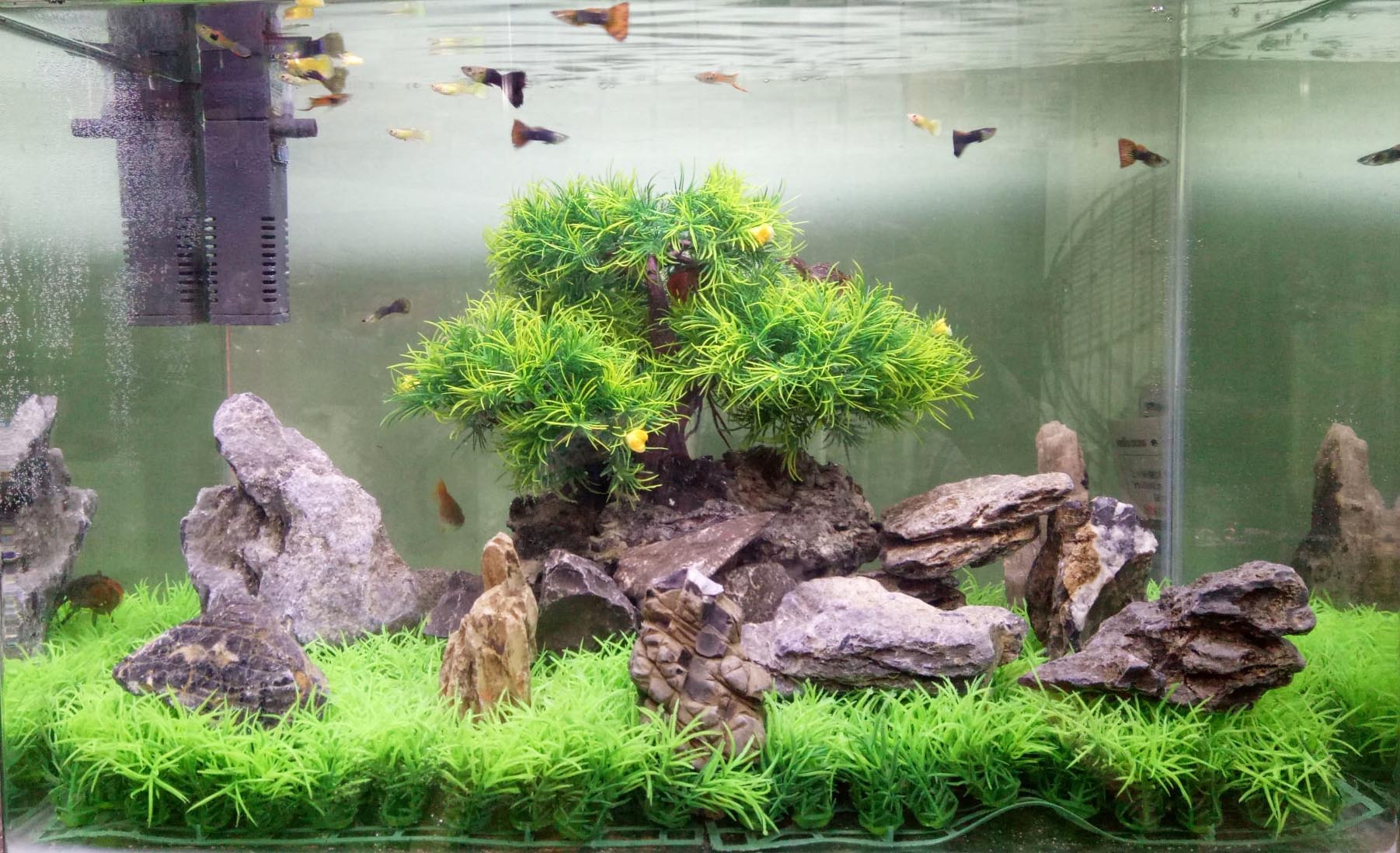 Rating of the best soils for aquariums in 2022