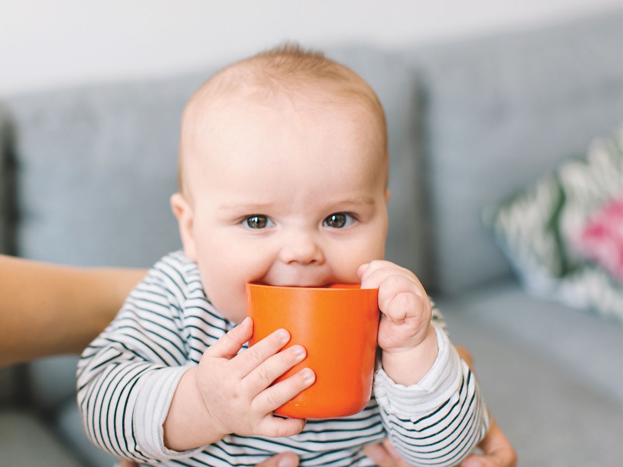Gennemgang af de bedste sippy kopper til babyer i 2022 - fordele, ulemper og pris