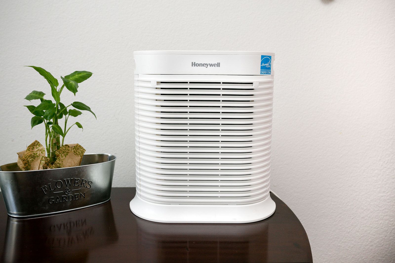 Ranking the best air purifiers in 2022