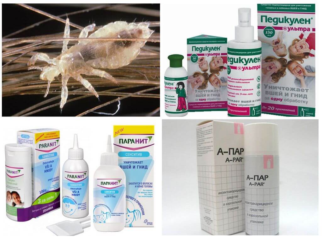 Rating of the best lice remedies in 2022
