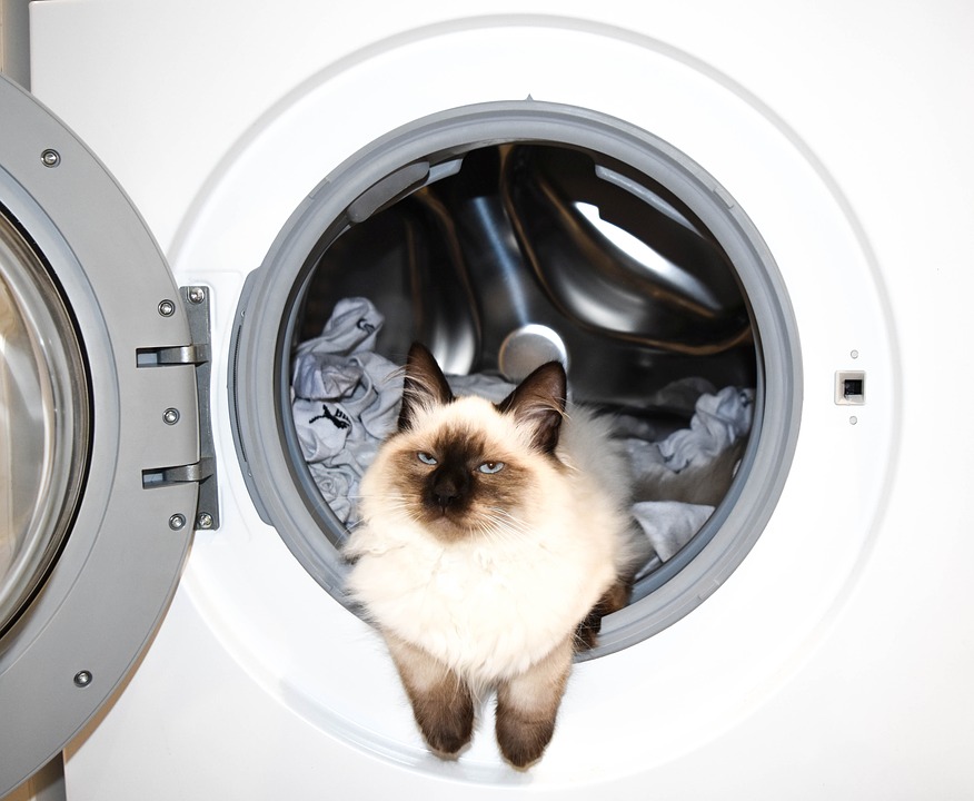 De bedste indbyggede vaskemaskiner i 2022