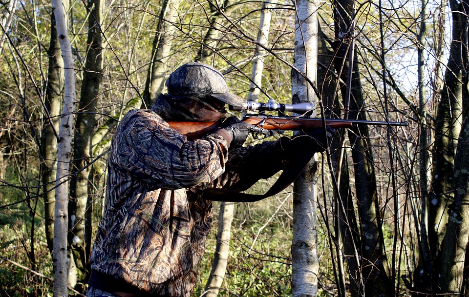 Rating of the best air rifles for hunting without a license for 2022