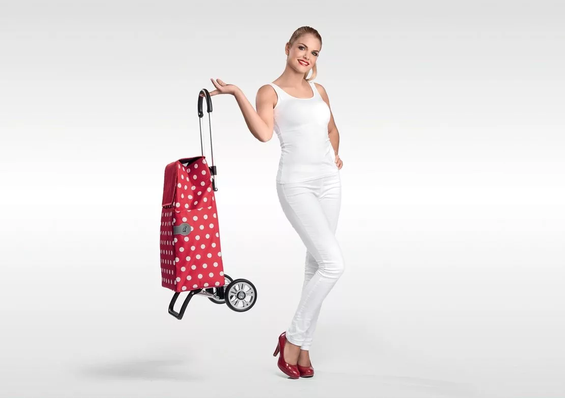 Best Trolley Shopping Bags on Wheels for 2022