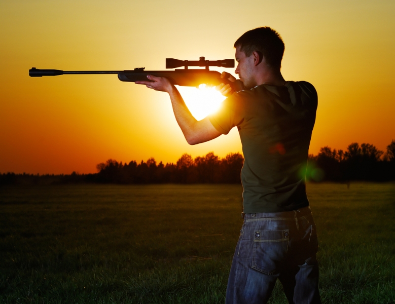 Rating of the best air rifles for recreational shooting in 2022