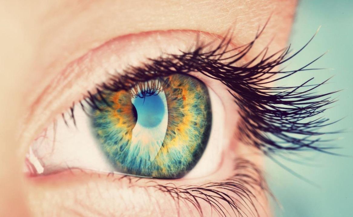 Ranking of the best eye drops for lens wear in 2022