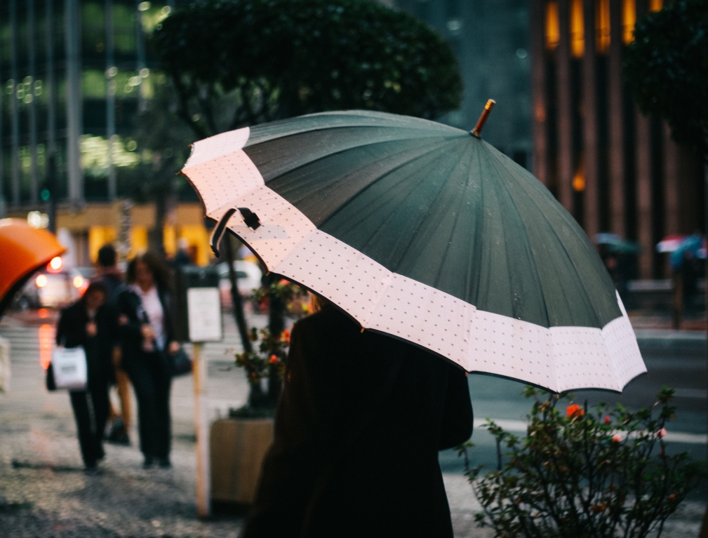 Rating of the best folding umbrellas for 2022