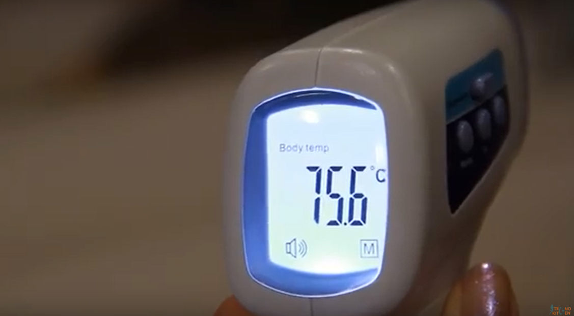 Rating of the best infrared thermometers for 2022
