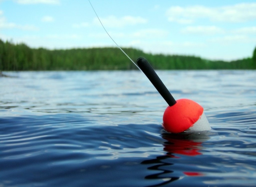 Rating of the best fishing floats for 2022
