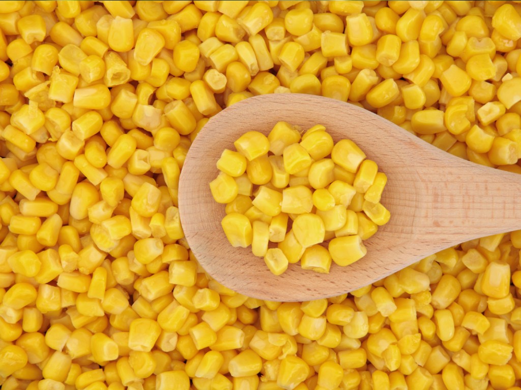 Ranking of the best brands of canned corn for 2022