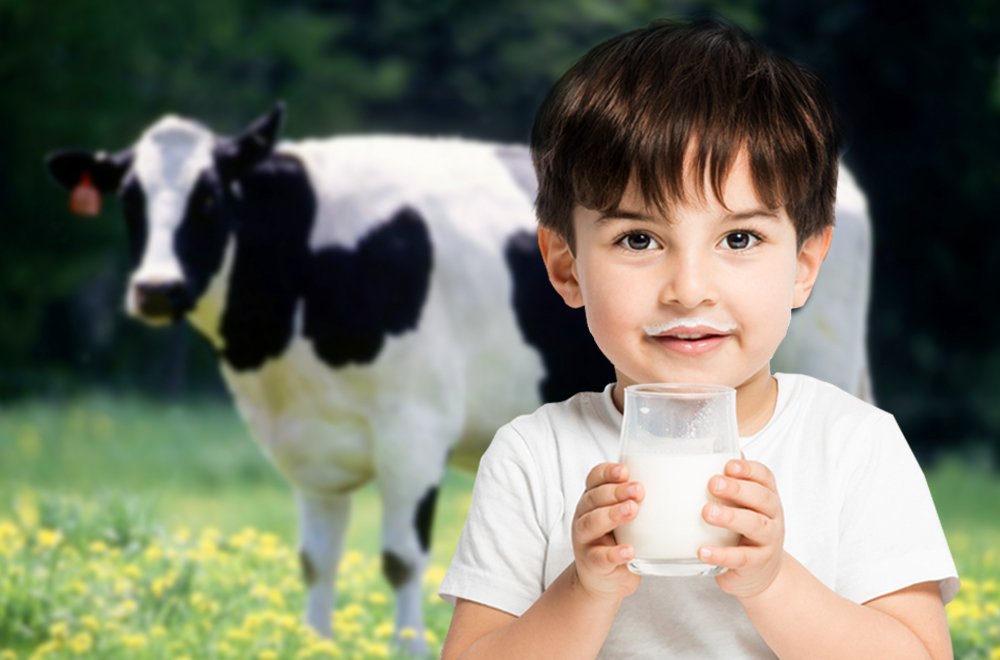 Ranking of the best milk producers for 2022