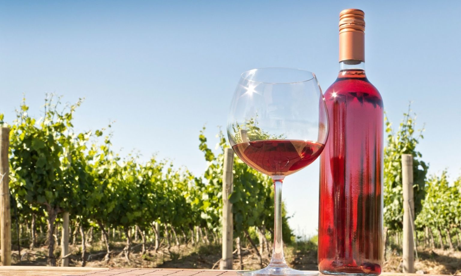 Rating of the best rosé wines for 2022