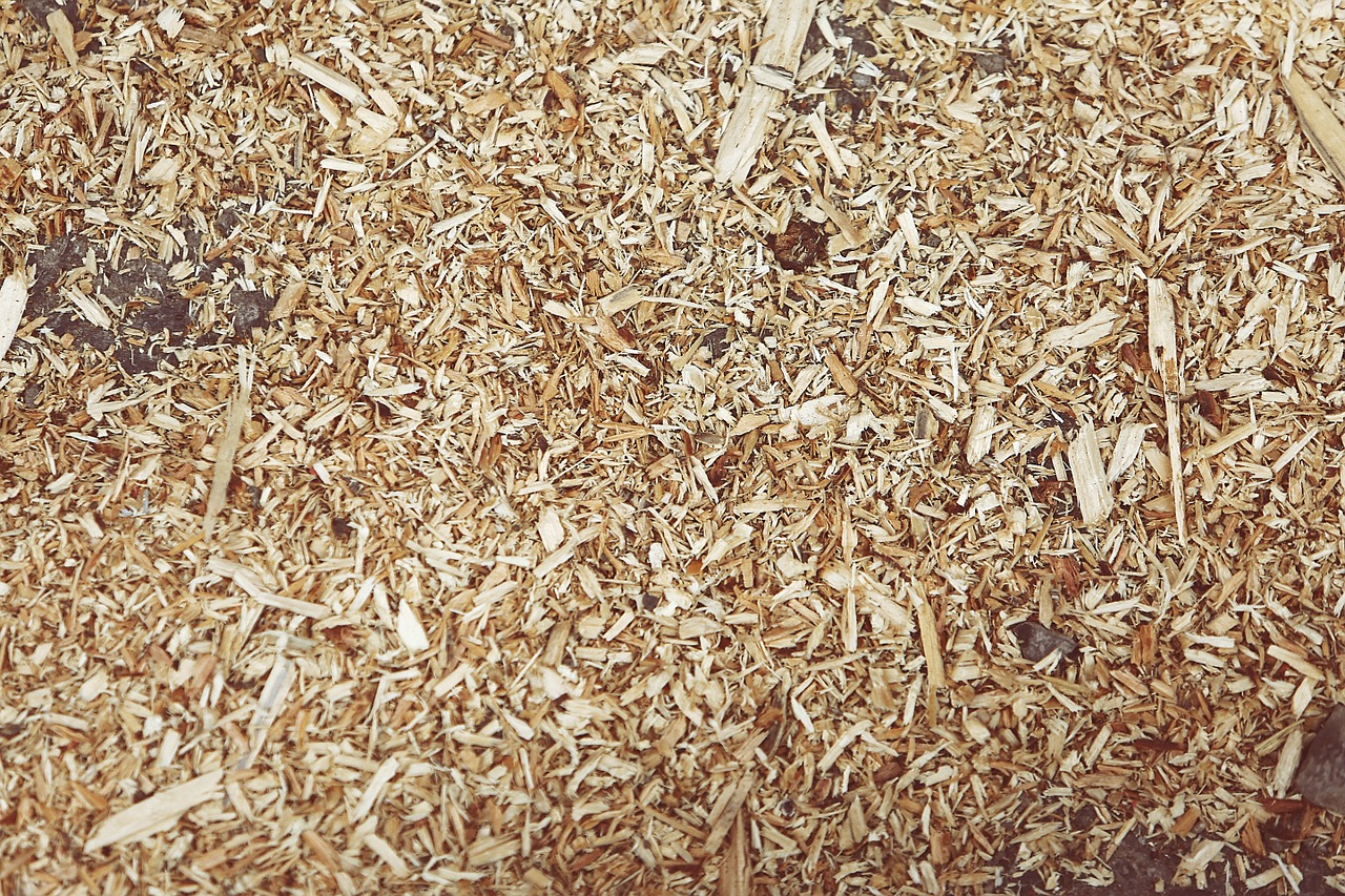 Rating of the best wood chips for 2022