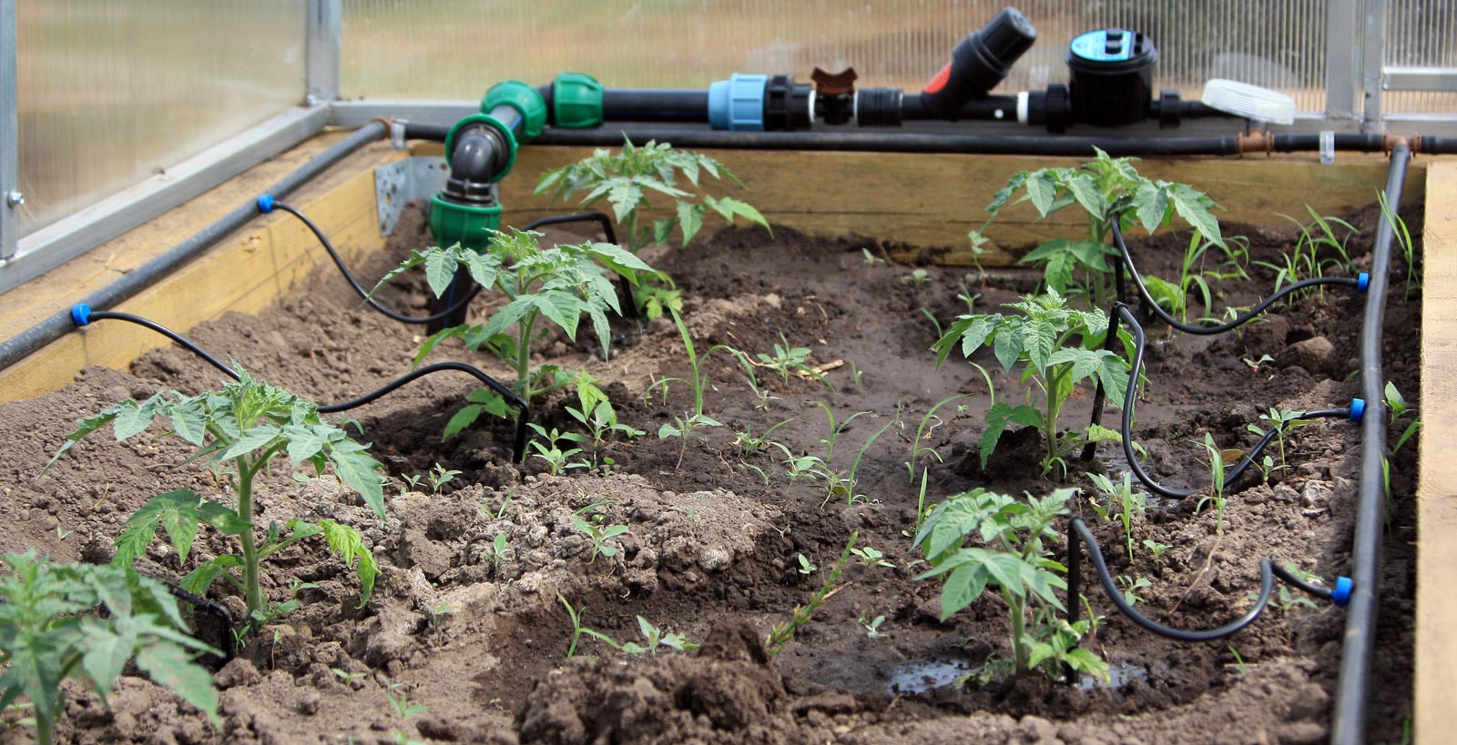 Rating of the best drip irrigation systems for 2022