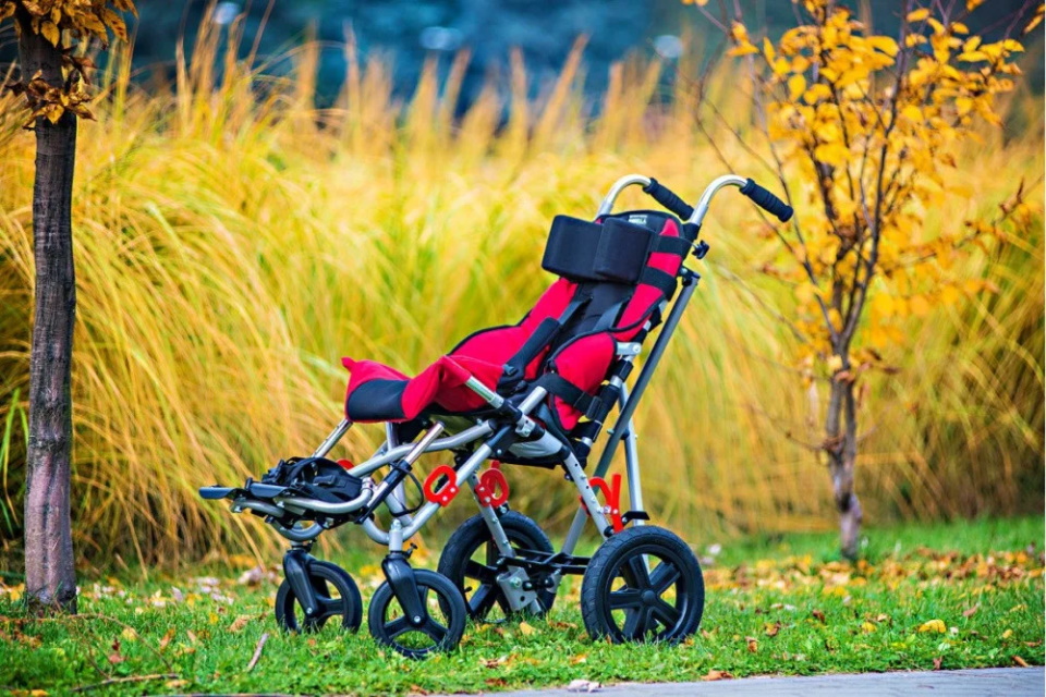 Rating of the best strollers for children with cerebral palsy for 2022