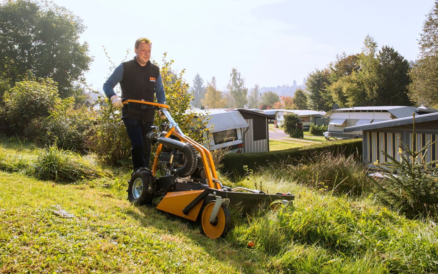 Rating of the best mowers for 2022