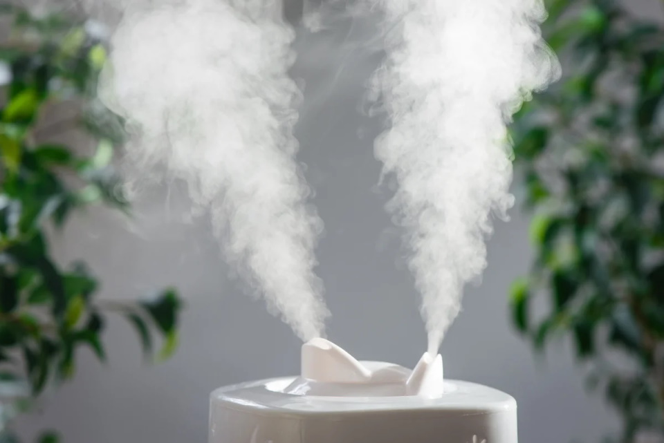 The best humidifiers for the home for 2022