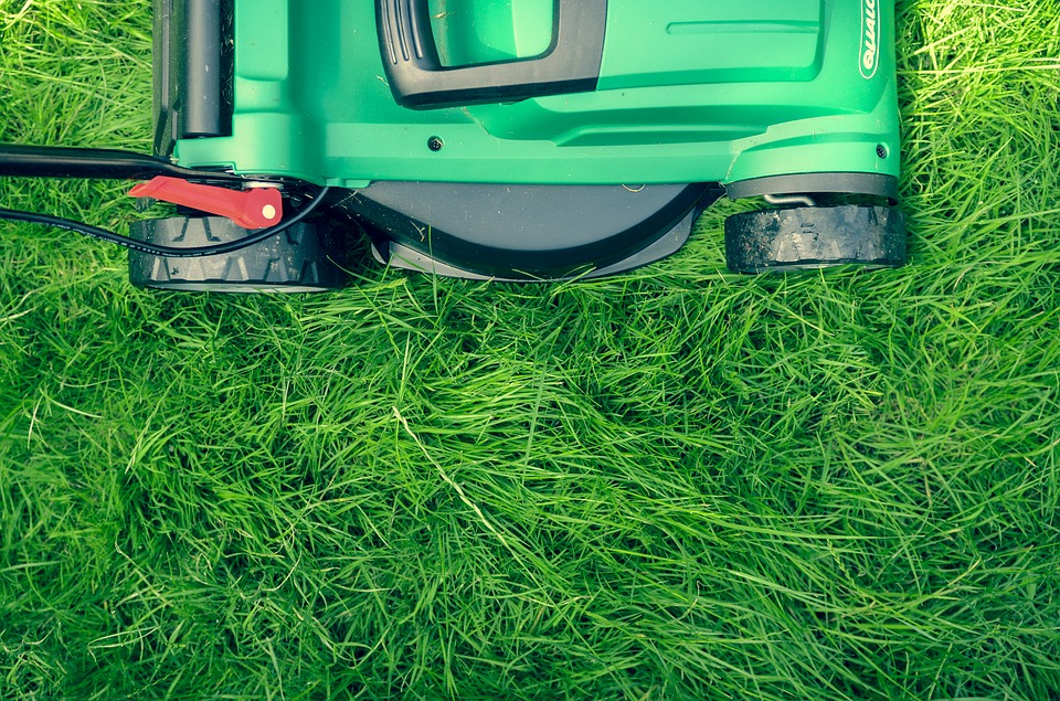 Ranking of the best lawn mowers for uneven areas for 2022