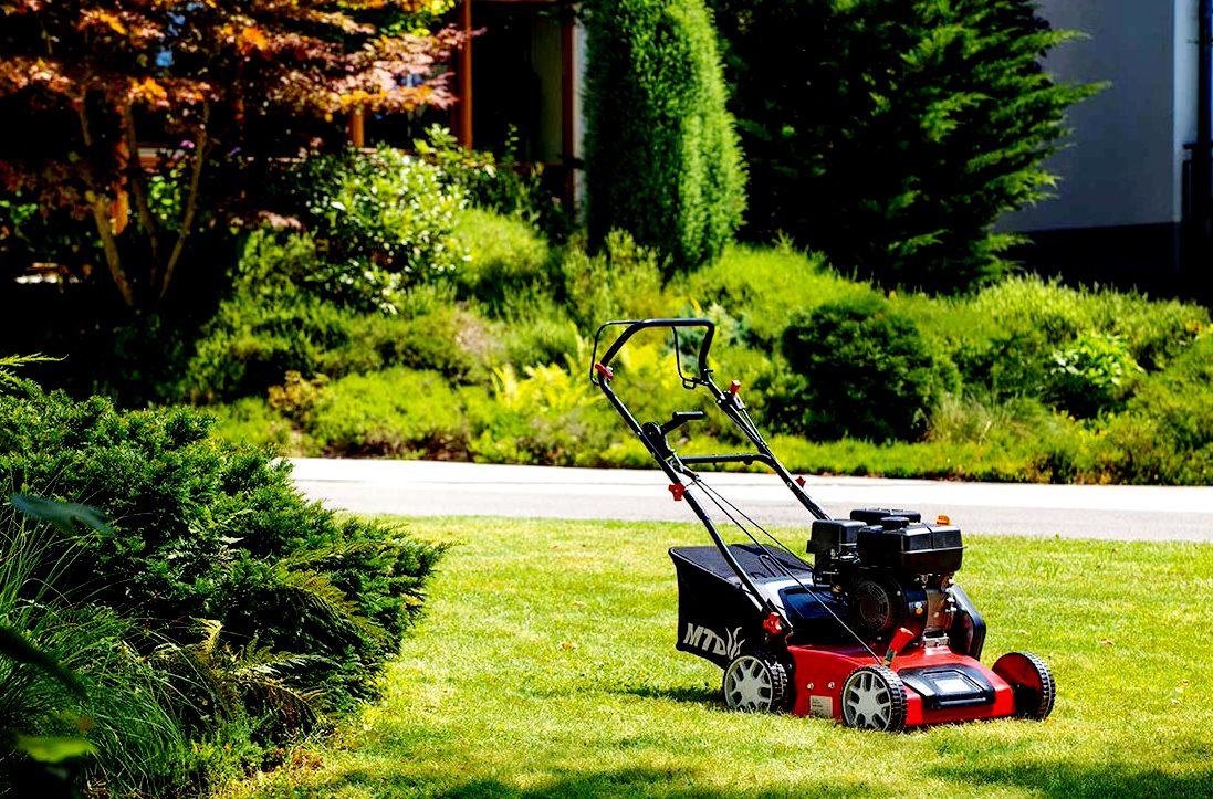 Ranking of the best lawn mower engines for 2022
