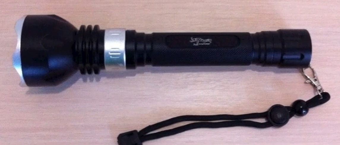 Rating of the best flashlights for spearfishing and diving for 2022