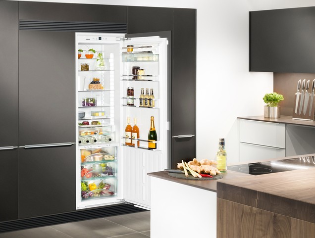 Rating of the best narrow refrigerators for the kitchen for 2022