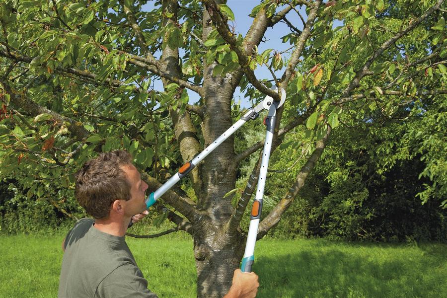 Rating of the best loppers for pruning trees for 2022