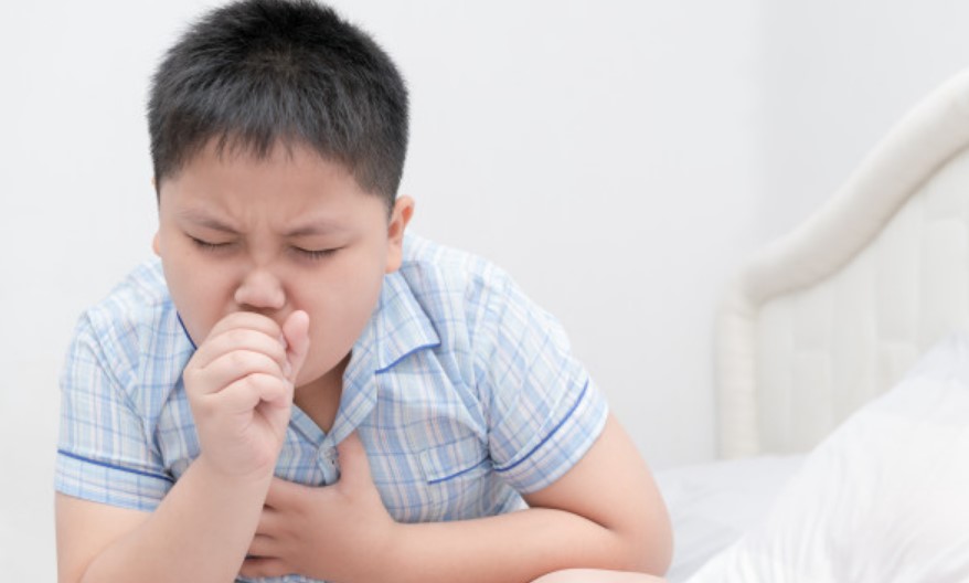 Rating of the best cough antibiotics for 2022