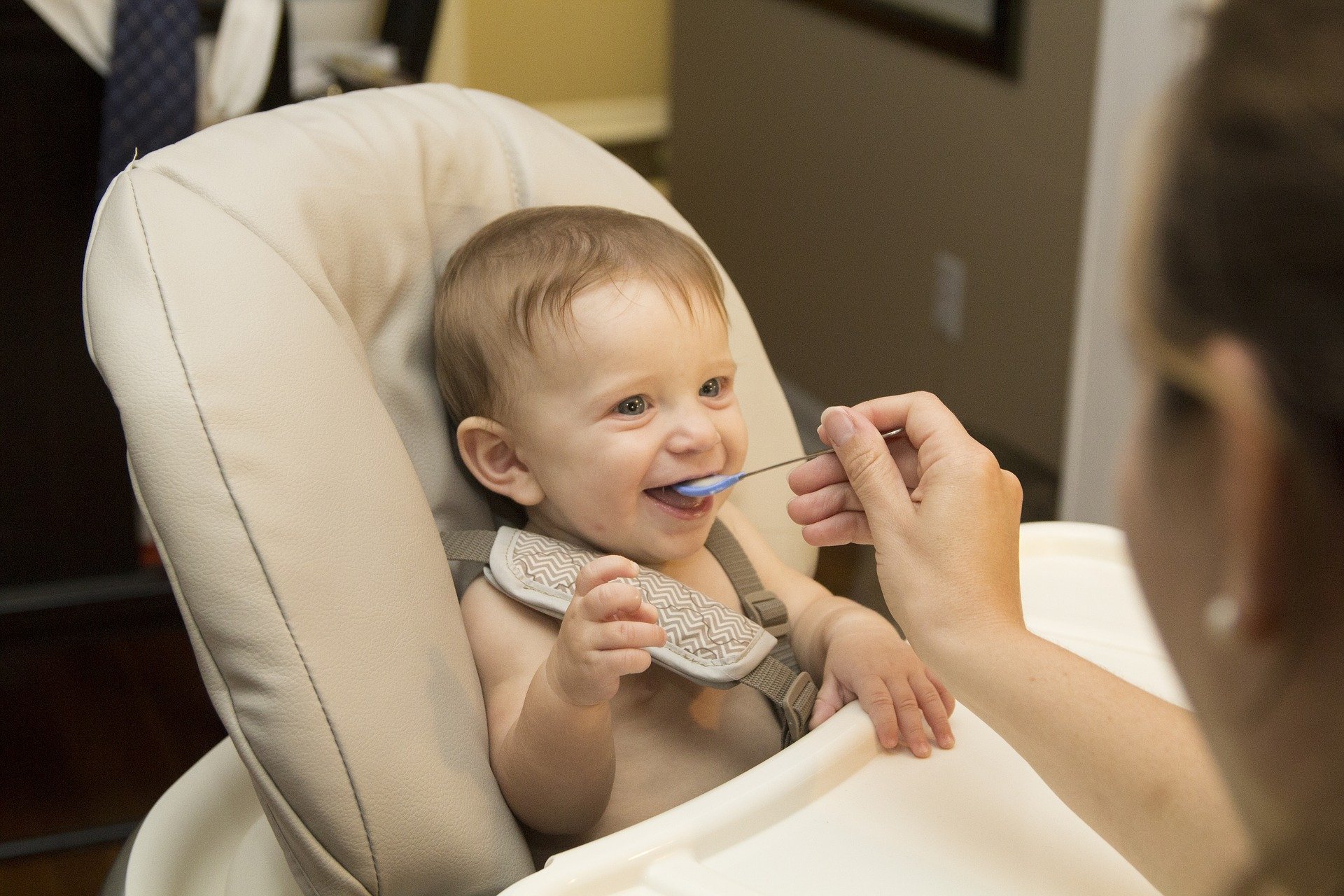 Ranking of the best high chairs for 2022
