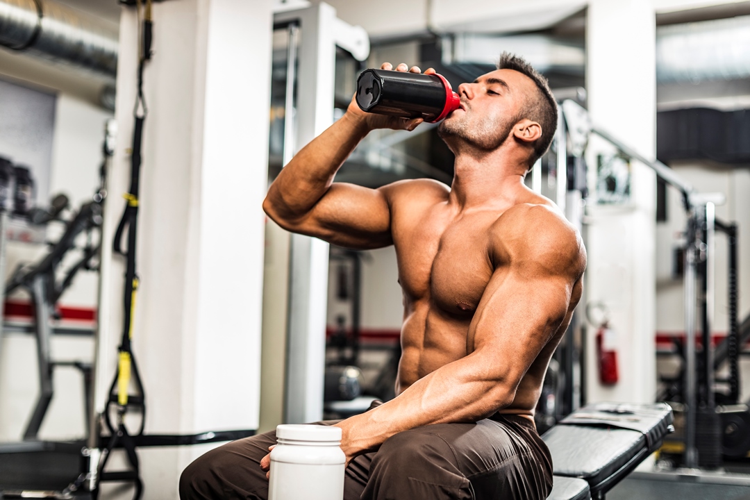 Rating of the best gainers for ectomorph for 2022