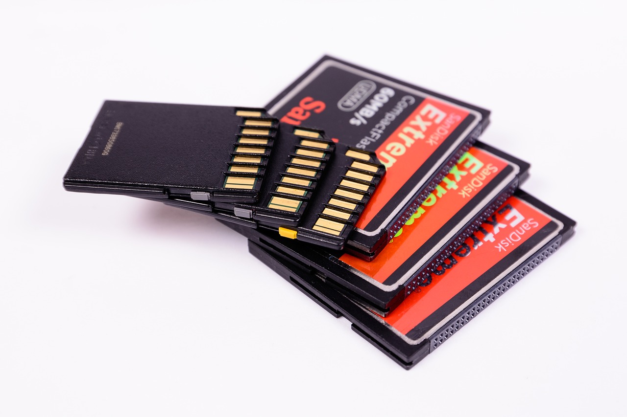 Rating of the best memory cards for the DVR for 2022
