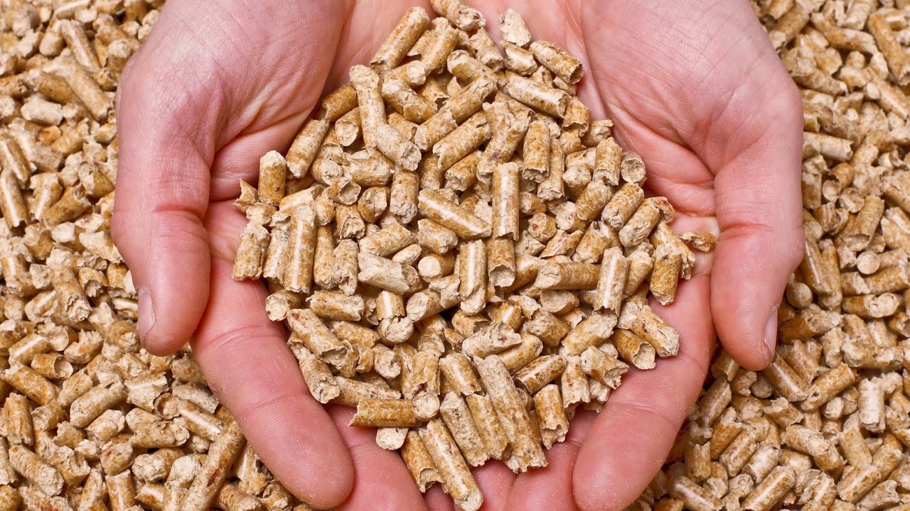 Rating of the best pellets for 2022
