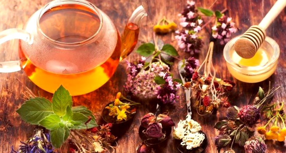 Rating of the best herbal tea in Russia for 2022