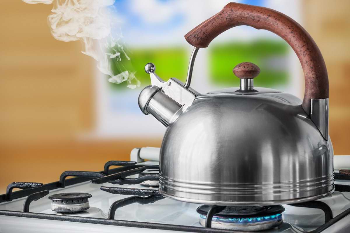 Rating of the best kettles for stoves for 2022