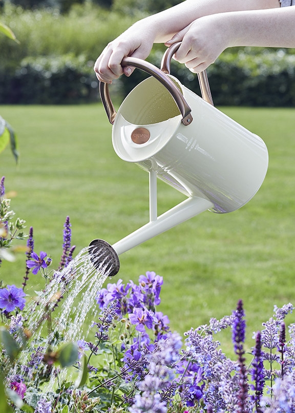 Rating of the best garden watering cans for 2022
