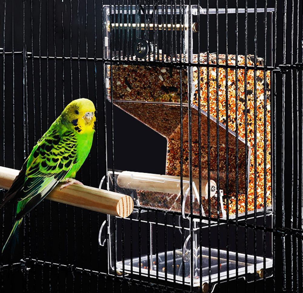 Rating of the best drinkers and feeders for parrots for 2022