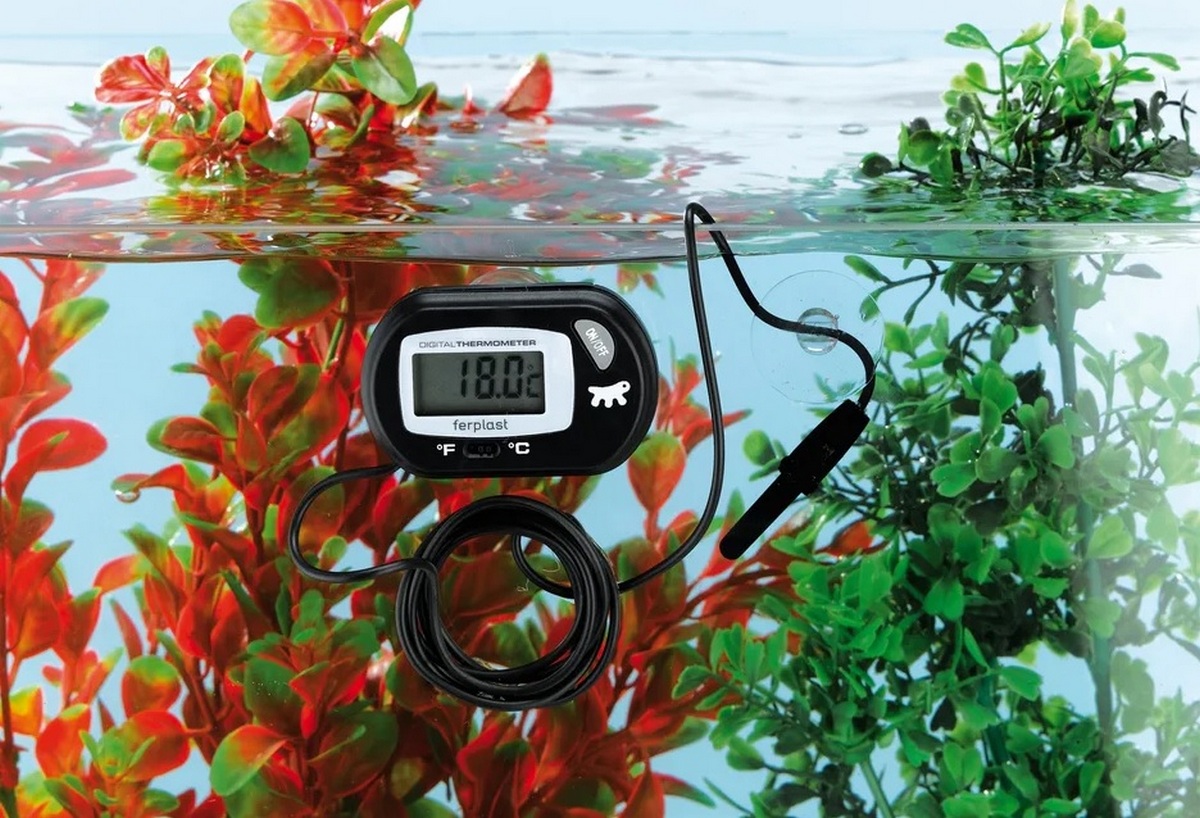 Rating of the best thermometers for aquariums for 2022