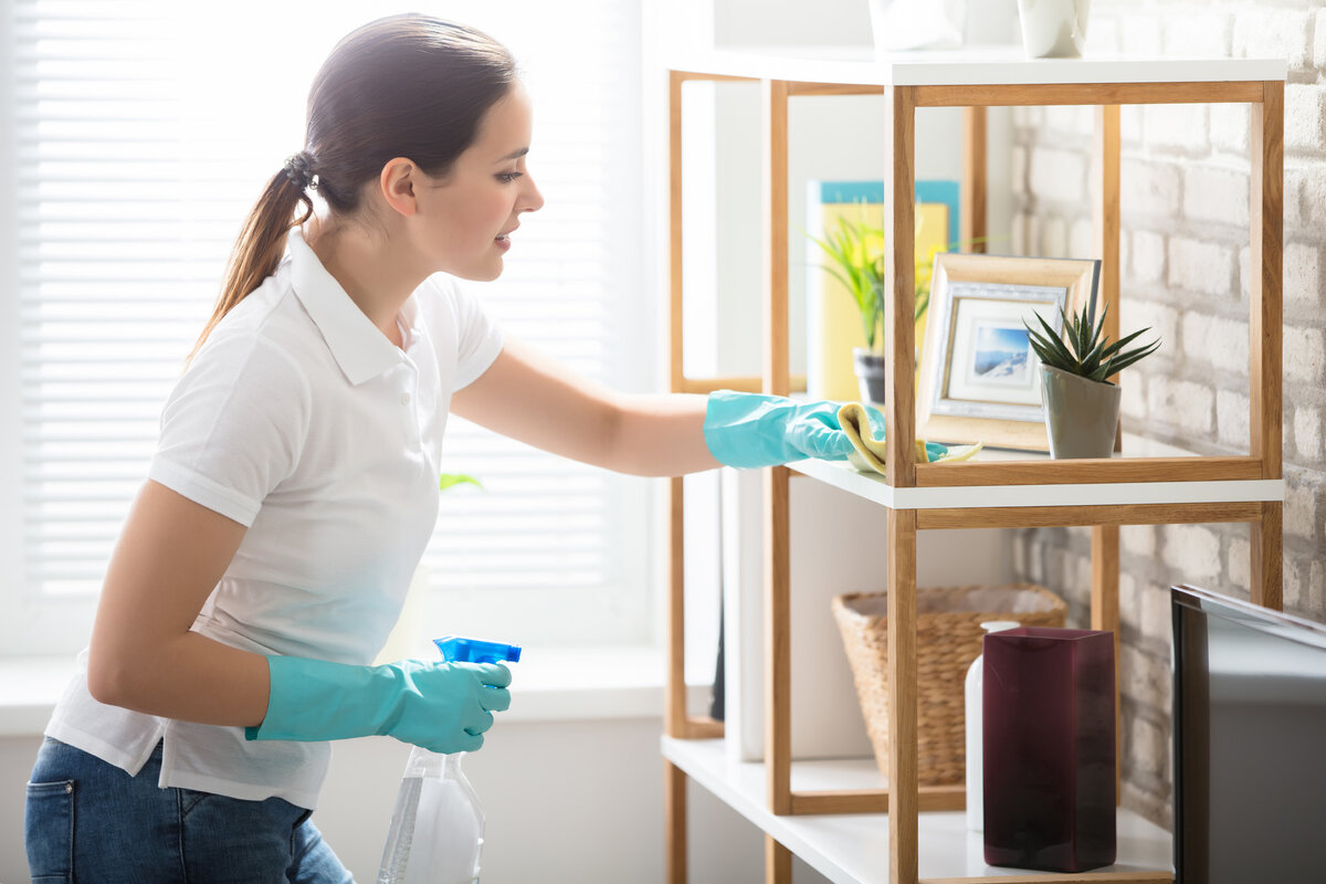 Ranking the best dust removers for 2022